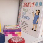 Objets importants posés sur une étagère : Mandala peint à l'encre de Chine sur un galet chakra rouge, boîte du petit oracle des couleurs, un manuel de Brain Gym.